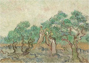 Tablou - Vincent van Gogh, The Olive Orchard, reproducere (70x50 cm)