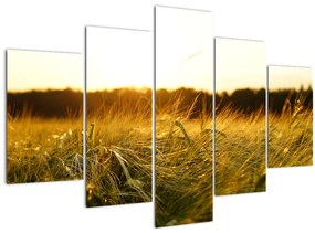 Tablou iarba cu rouă (150x105 cm)