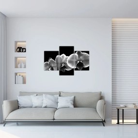 Tablou floare de orhidee (90x60 cm)