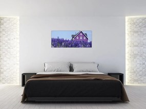 Tablou cu câmp de lavanda (120x50 cm)