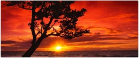 Tablou - Apus de soare (120x50 cm)