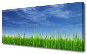 Tablou pe panza canvas Sky Grass Nature Albastru Verde