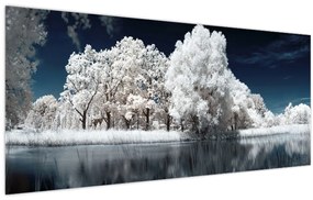 Tablou - Albă ca Zăpada Albă ca Zăpada Copaci (120x50 cm)