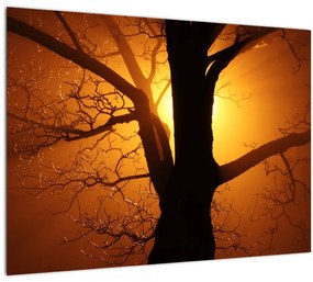 Tablou pe sticlă cu copac în apus de soare (70x50 cm)