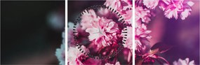 Tablou cu florile copacilor (cu ceas) (90x30 cm)