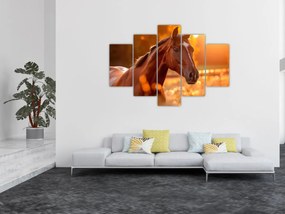 Tablou - Cal în apus de soare (150x105 cm)