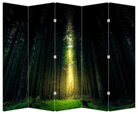 Paravan - Pădurea întunecată (210x170 cm)