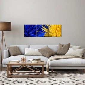 Tablou - detaliu florilor (cu ceas) (90x30 cm)