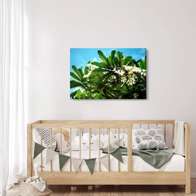 Tablou - Plumeria (90x60 cm)