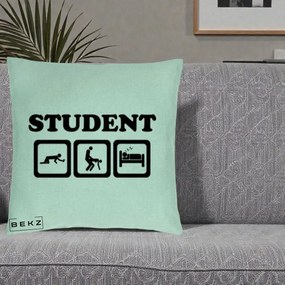 Perna Decorativa Student Life, 40x40 cm, Verde Menta, Husa Detasabila, Perna Inclusa, BEKZ®