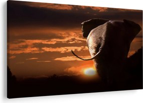 Tablou cu elefant (90x60 cm)
