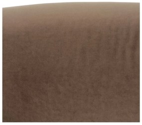 Fotoliu maro deschis – Ixia