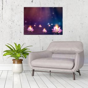 Tablou - Nuferi magici (70x50 cm)