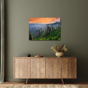 Tablou - Parcul forestier național Zhangjiajie (70x50 cm)