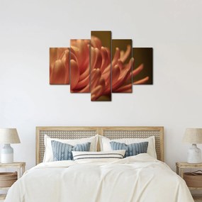 Tablou cu detailu florii (150x105 cm)