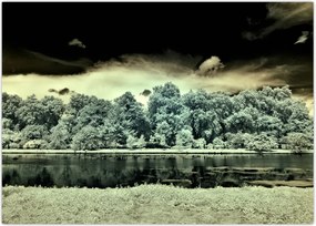 Tablou suprafeței de apă (70x50 cm)