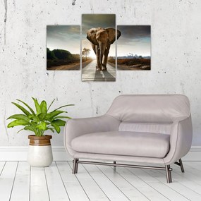 Tablou cu elefant (90x60 cm)