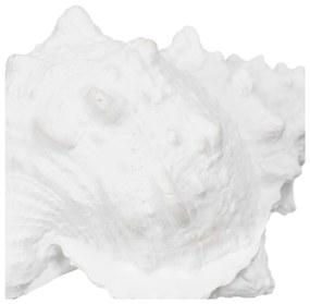 Statuetă din polirășină (înălțime 12 cm) Seashell – Ixia