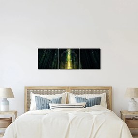 Tablou cu pădurea întunecată (cu ceas) (90x30 cm)