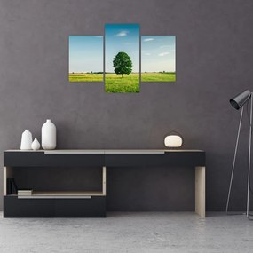 Tablou cu copaci pe luncă (90x60 cm)