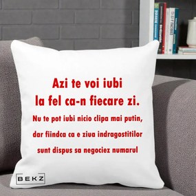 Cadou pentru Iubita - Perna Personalizata Azi Te Voi Iubi, 40x40 cm, Alba Mata, Husa Detasabila, Perna Inclusa, BEKZ®