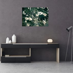 Tablou - Pânză de păianjen (70x50 cm)