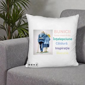 Cadou pentru Bunici - Perna Personalizata Bunicii Sursa Intelepciune Caldura Acuarela, 40x40 cm, Alb Pufos, Husa Detasabila, Perna Inclusa, BEKZ®