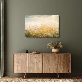 Tablou - Câmp toamna (90x60 cm)