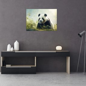 Tablou pe sticlă - Panda (70x50 cm)