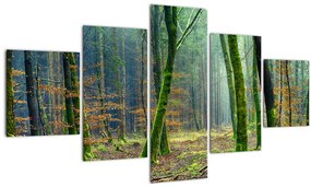 Tablou cu pădure (125x70 cm), în 40 de alte dimensiuni noi