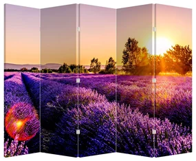 Paravan - Câmp de lavanda (210x170 cm)