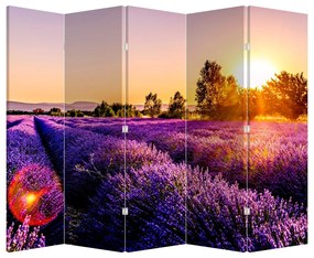 Paravan - Câmp de lavanda (210x170 cm)