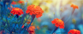 Tablou - Flori portocalii (120x50 cm)