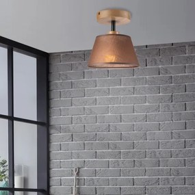 Lustră aplicată Brilagi ANTHONY 1xE14/60W/230V stejar/maro