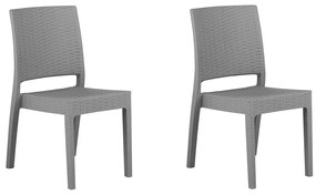 Set scaune 2 buc. Fossil (gri deschis). Promo -36%. 1011528