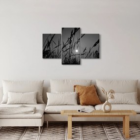 Tablou - Pajiște cu apus de soare (90x60 cm)