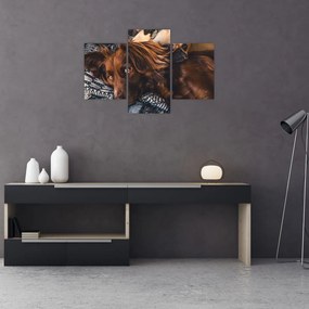 Tablou cu câini dormind (90x60 cm)