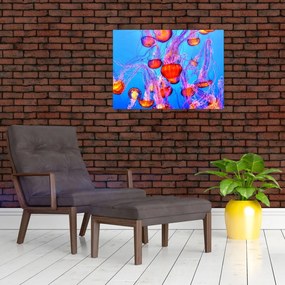 Tablou cu meduse în mare (70x50 cm)