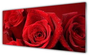 Tablouri acrilice Trandafiri Floral Red