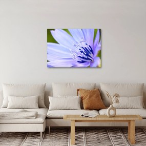Tablou - Floare (70x50 cm)