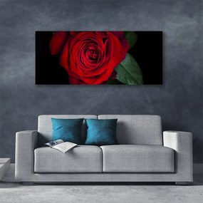 Tablou pe panza canvas Rose Floral Roșu Verde Negru