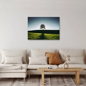 Tablou cu natura - copac (70x50 cm)