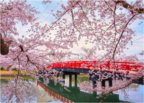 Tablou - Hirosaki, Japonia (70x50 cm)