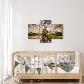 Tablou naturii cu raze de soae (90x60 cm)