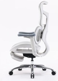 RESIGILAT- Scaun ergonomic SIHOO S100, cotiere 4D ultra moi, suport lombar adaptiv, spătar reglabil pe inaltime, sezut cu translatie, mecanism multifunctional inclinare/blocare, suport picioare, pivotant, Mesh, Gri