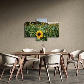 Tablou - Câmpul de floarea-soarelui II. (90x60 cm)