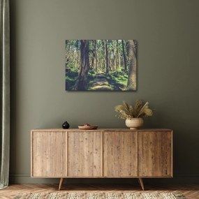 Tablou cu drum între copaci (70x50 cm)