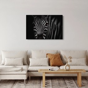 Tablou cu zebră (90x60 cm)