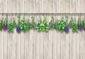 Fototapet - Plante - bej (152,5x104 cm)