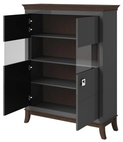 Vitrină Tyrion Typ 42 (antracit lucios + ciocolățiu) (cu iluminat). 1108301